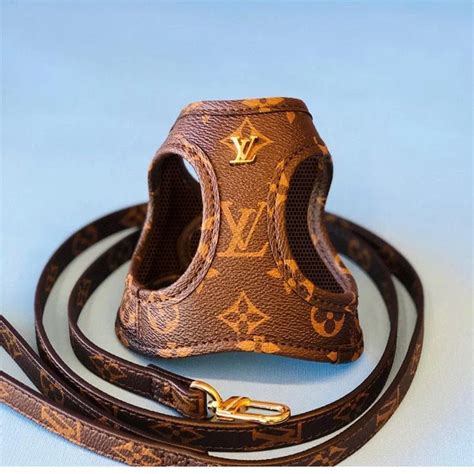 louis vuitton pour chien